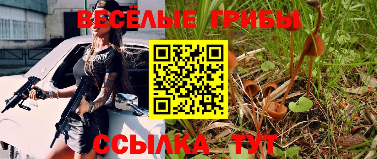 Галлюциногенные грибы Psilocybine cubensis Соль-Илецк